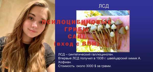 сатива Алексин