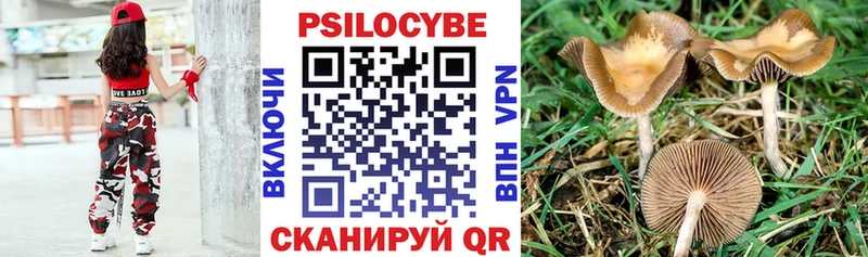 блэк спрут как войти  где купить   Киреевск  Псилоцибиновые грибы Psilocybine cubensis 