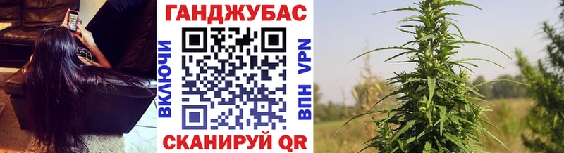 как найти наркотики  Киреевск  Конопля тримм 